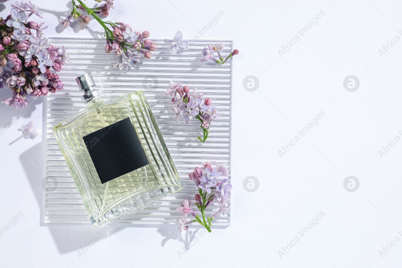 Bottle of perfume and beautiful lilac flowers on white background, flat lay. Space for text Photo of Bottle of perfume and beautiful lilac flowers on white background, flat lay. Space for text