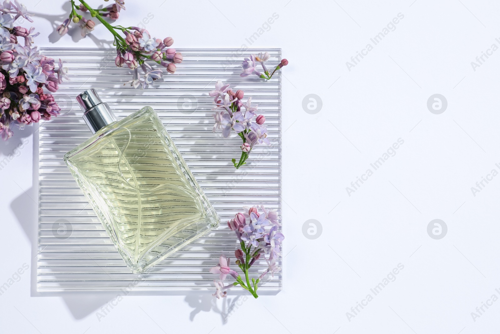 Bottle of perfume and beautiful lilac flowers on white background, flat lay. Space for text Photo of Bottle of perfume and beautiful lilac flowers on white background, flat lay. Space for text