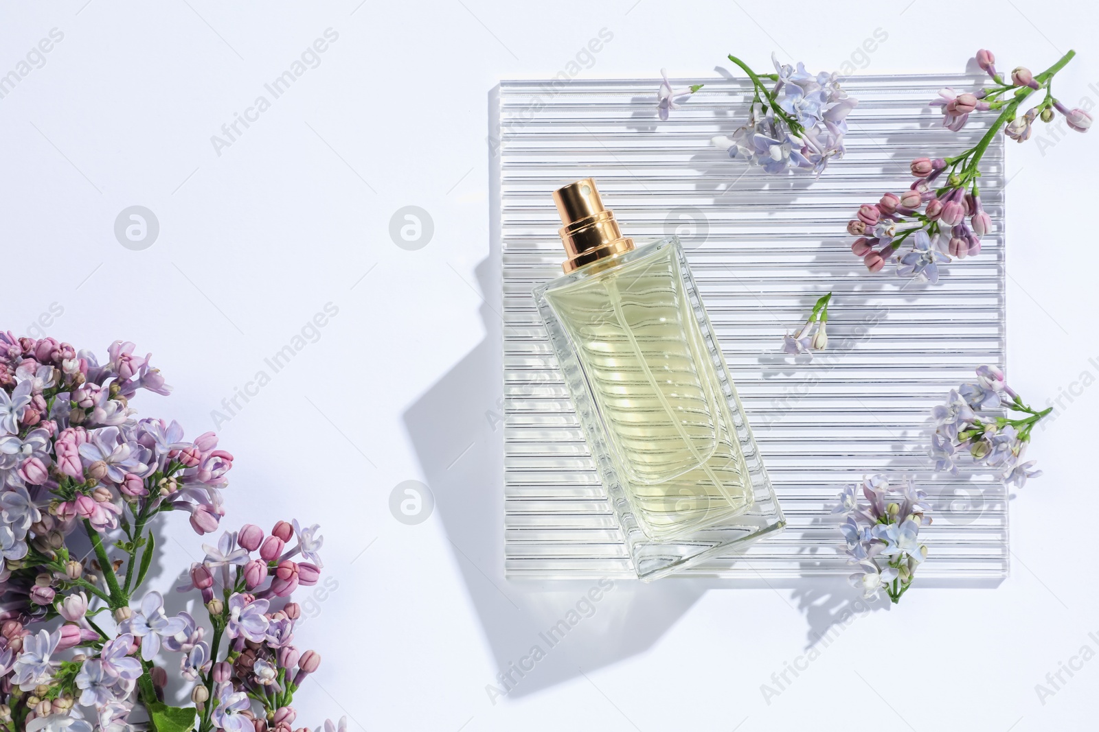 Bottle of perfume and beautiful lilac flowers on white background, flat lay Photo of Bottle of perfume and beautiful lilac flowers on white background, flat lay