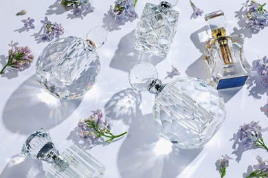 Photo of Luxury perfumes and beautiful lilac flowers on white background, above view