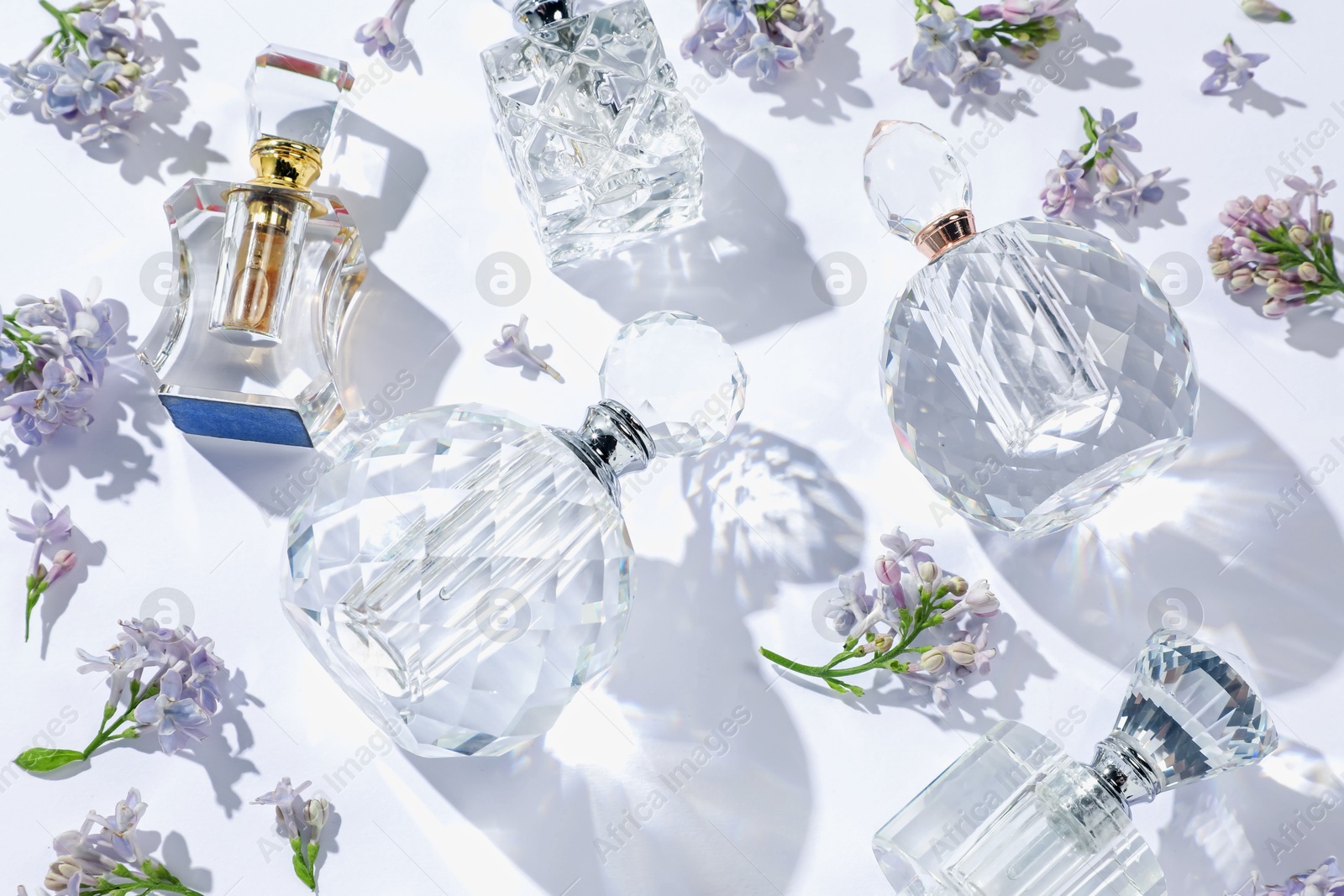 Luxury perfumes and beautiful lilac flowers on white background, above view Photo of Luxury perfumes and beautiful lilac flowers on white background, above view
