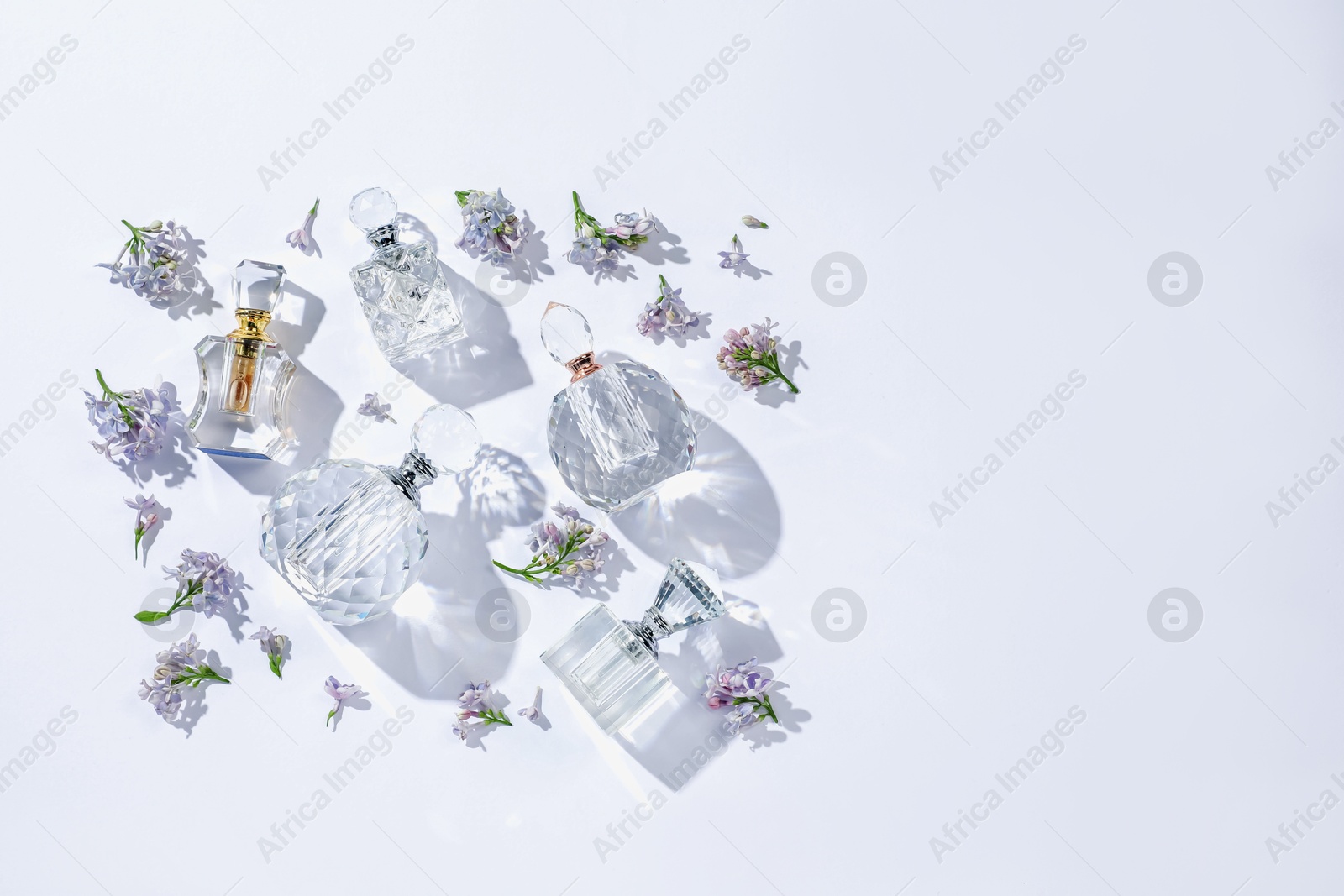 Luxury perfumes and beautiful lilac flowers on white background, flat lay. Space for text Photo of Luxury perfumes and beautiful lilac flowers on white background, flat lay. Space for text