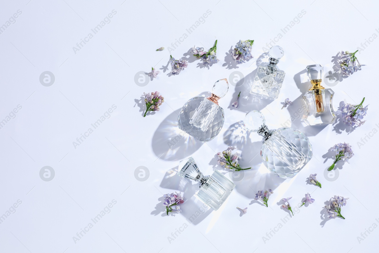 Luxury perfumes and beautiful lilac flowers on white background, flat lay. Space for text Photo of Luxury perfumes and beautiful lilac flowers on white background, flat lay. Space for text