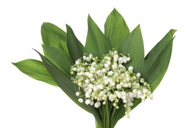 Photo of Bouquet of beautiful lily-of-the-valley isolated on white