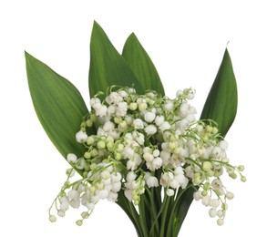 Photo of Bouquet of beautiful lily-of-the-valley isolated on white