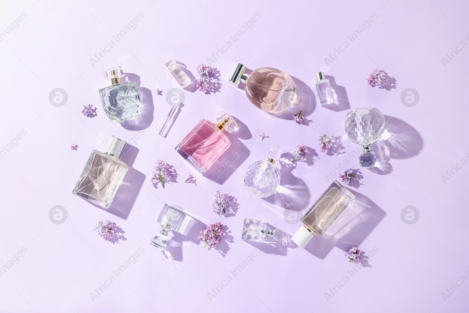 Luxury perfumes and beautiful lilac flowers on light violet background, flat lay Photo of Luxury perfumes and beautiful lilac flowers on light violet background, flat lay