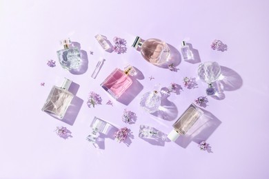 Photo of Luxury perfumes and beautiful lilac flowers on light violet background, flat lay