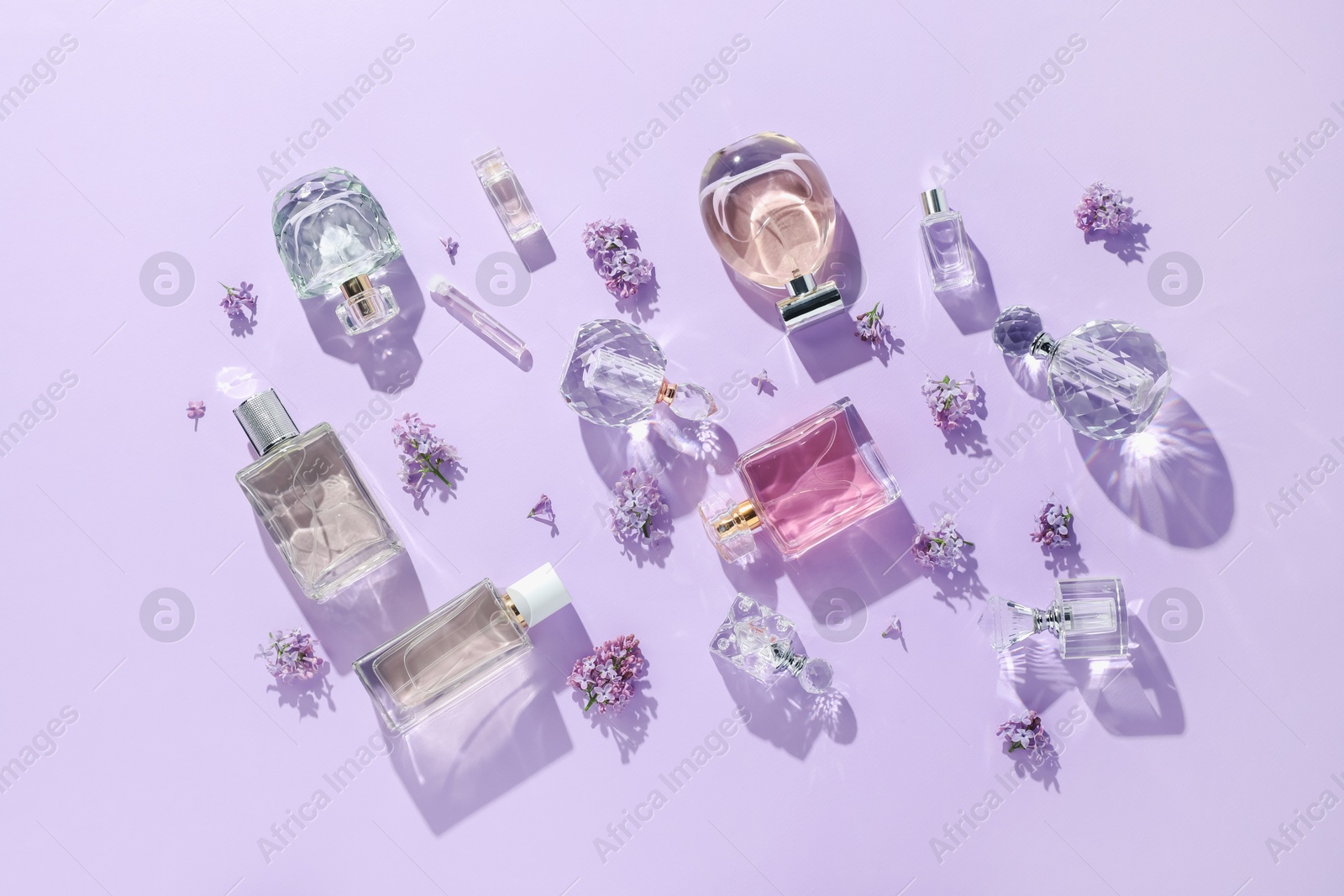 Luxury perfumes and beautiful lilac flowers on light violet background, flat lay Photo of Luxury perfumes and beautiful lilac flowers on light violet background, flat lay