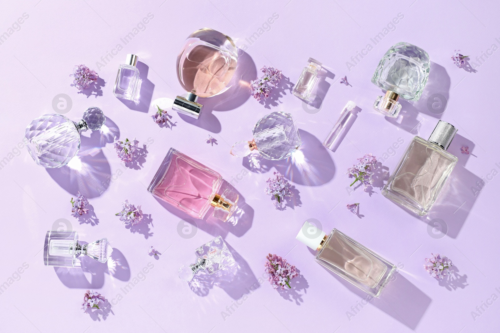 Luxury perfumes and beautiful lilac flowers on light violet background, flat lay Photo of Luxury perfumes and beautiful lilac flowers on light violet background, flat lay