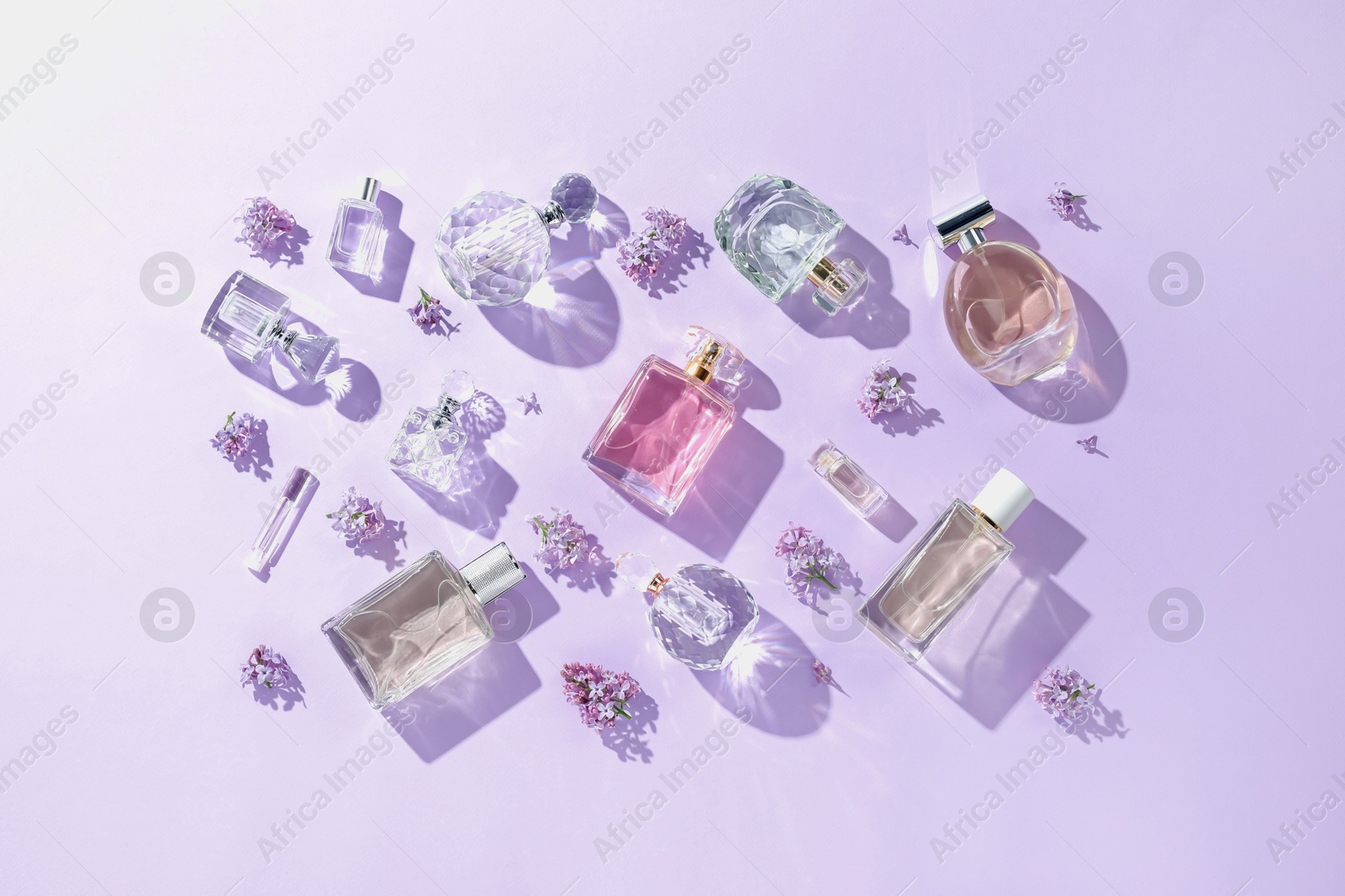 Luxury perfumes and beautiful lilac flowers on light violet background, flat lay Photo of Luxury perfumes and beautiful lilac flowers on light violet background, flat lay