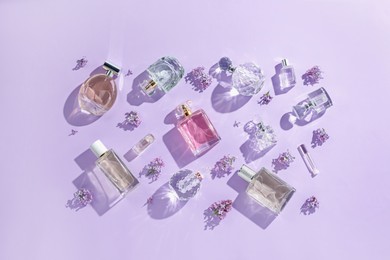 Photo of Luxury perfumes and beautiful lilac flowers on light violet background, flat lay