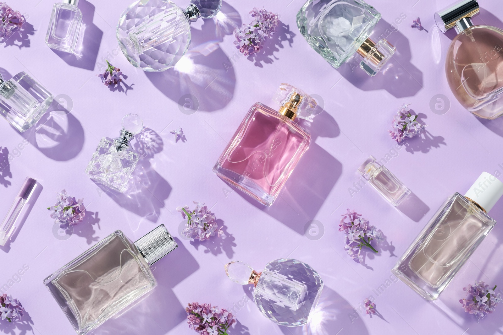 Luxury perfumes and beautiful lilac flowers on light violet background, flat lay Photo of Luxury perfumes and beautiful lilac flowers on light violet background, flat lay