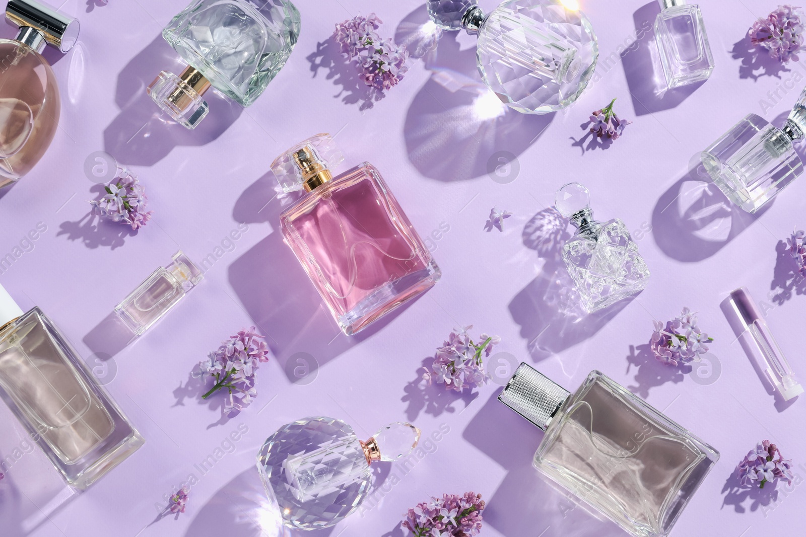 Luxury perfumes and beautiful lilac flowers on light violet background, flat lay Photo of Luxury perfumes and beautiful lilac flowers on light violet background, flat lay