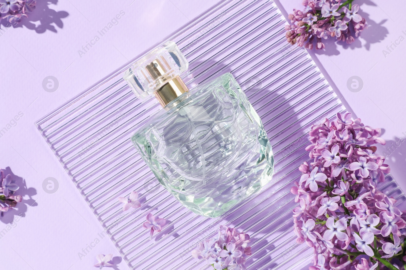 Bottle of perfume and beautiful lilac flowers on light violet background, flat lay Photo of Bottle of perfume and beautiful lilac flowers on light violet background, flat lay