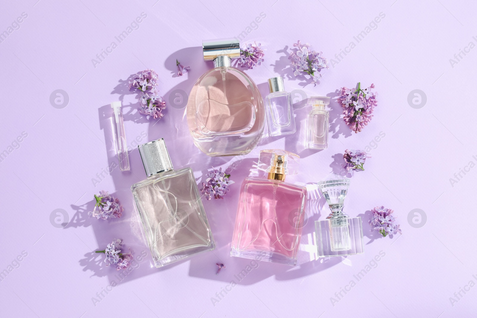 Luxury perfumes and beautiful lilac flowers on light violet background, flat lay Photo of Luxury perfumes and beautiful lilac flowers on light violet background, flat lay