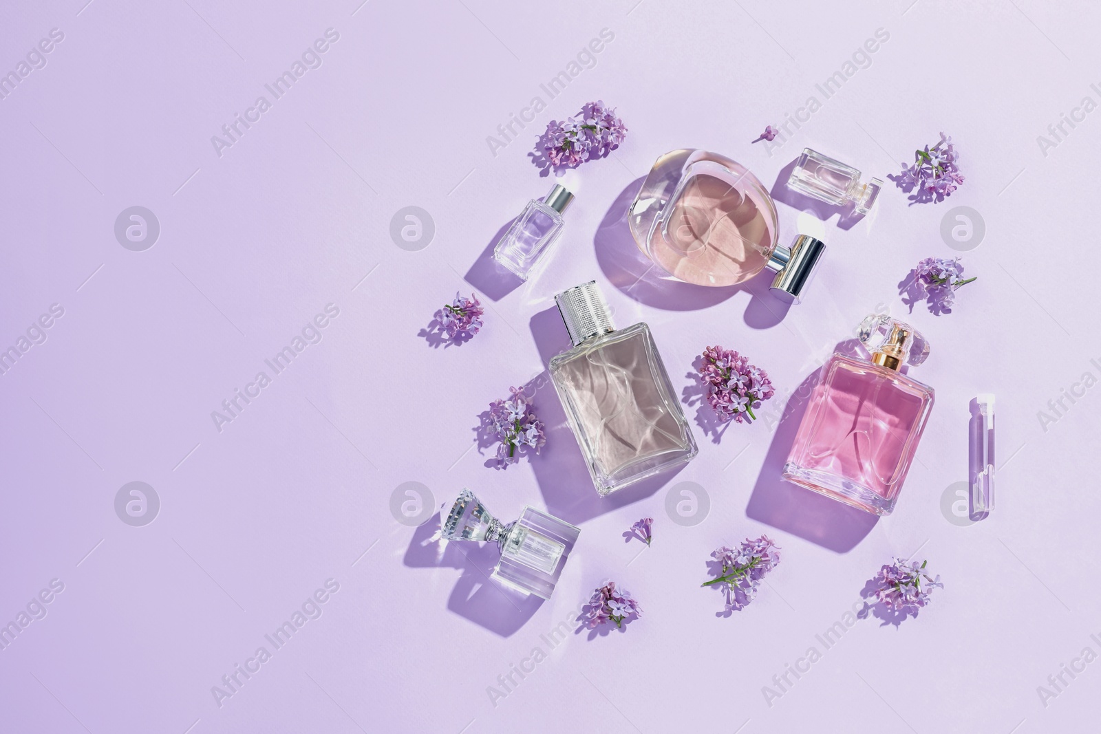 Luxury perfumes and beautiful lilac flowers on light violet background, flat lay. Space for text Photo of Luxury perfumes and beautiful lilac flowers on light violet background, flat lay. Space for text
