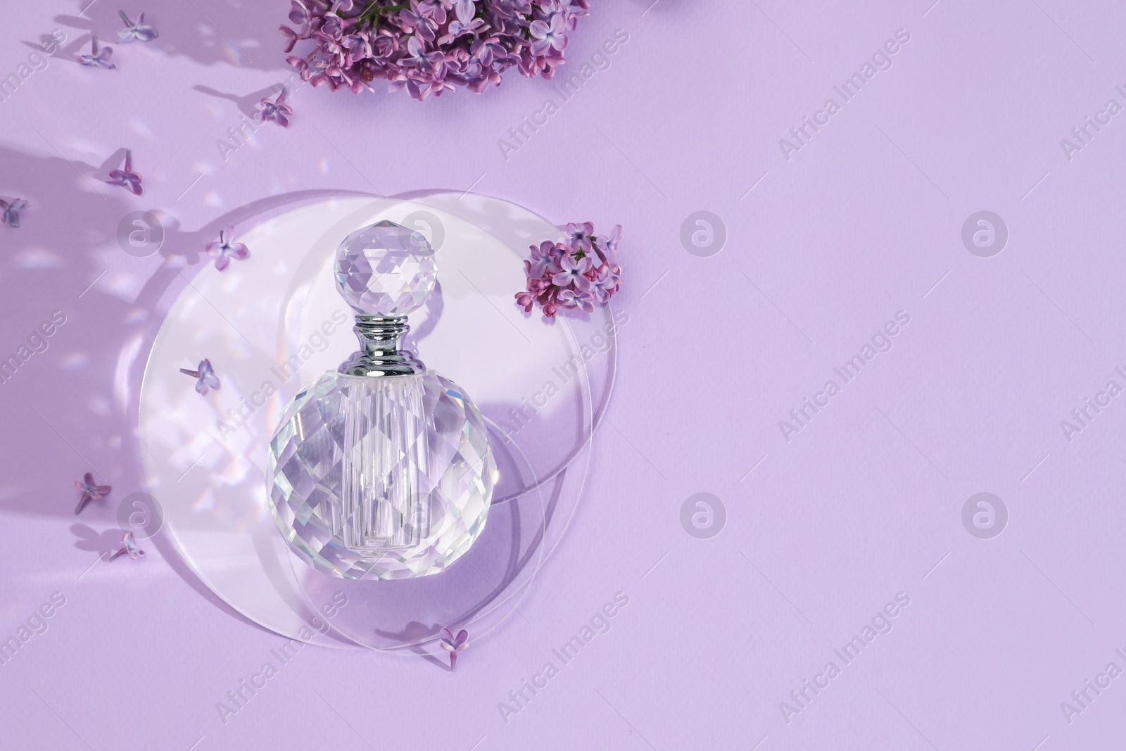 Bottle of perfume and beautiful lilac flowers on light violet background, flat lay. Space for text Photo of Bottle of perfume and beautiful lilac flowers on light violet background, flat lay. Space for text