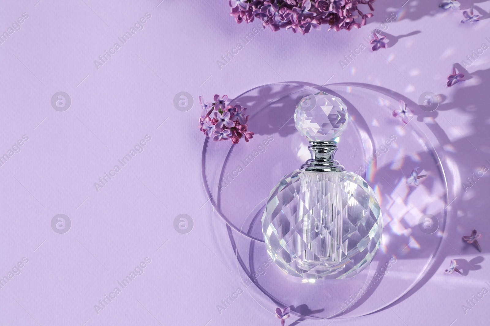Bottle of perfume and beautiful lilac flowers on light violet background, flat lay. Space for text Photo of Bottle of perfume and beautiful lilac flowers on light violet background, flat lay. Space for text