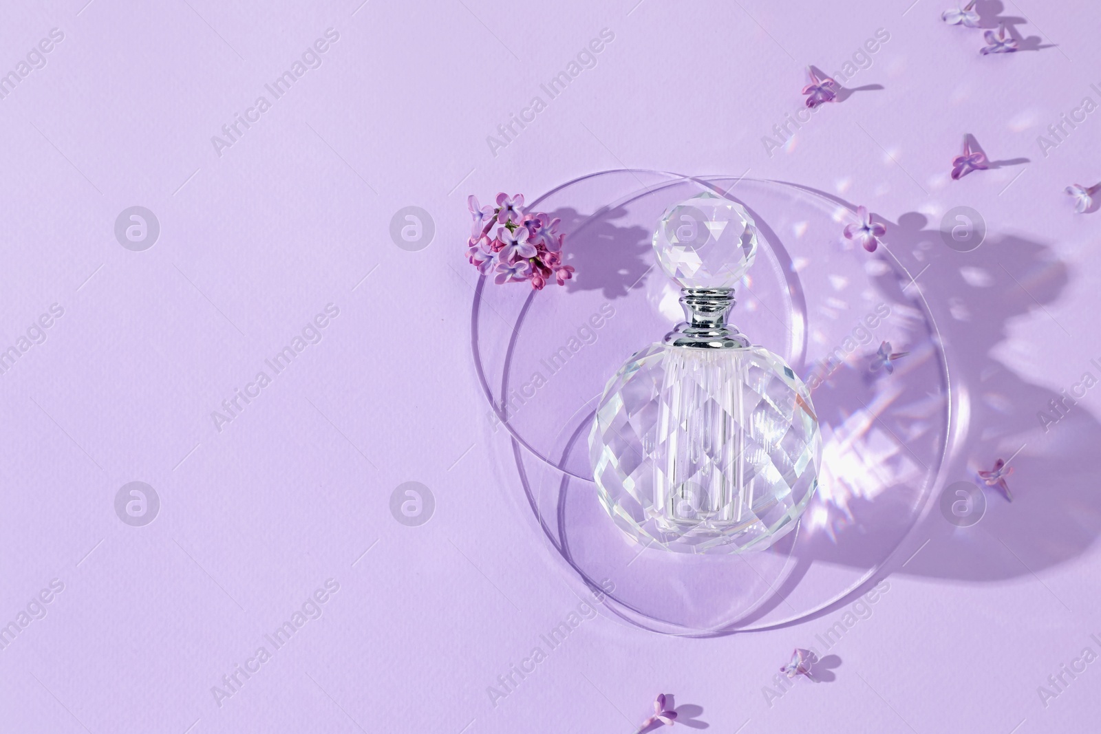 Bottle of perfume and beautiful lilac flowers on light violet background, flat lay. Space for text Photo of Bottle of perfume and beautiful lilac flowers on light violet background, flat lay. Space for text