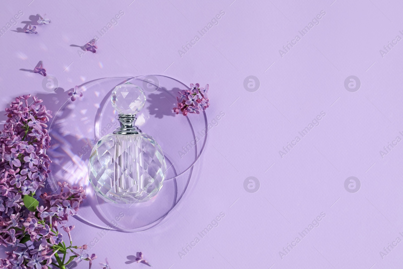 Bottle of perfume and beautiful lilac flowers on light violet background, flat lay. Space for text Photo of Bottle of perfume and beautiful lilac flowers on light violet background, flat lay. Space for text