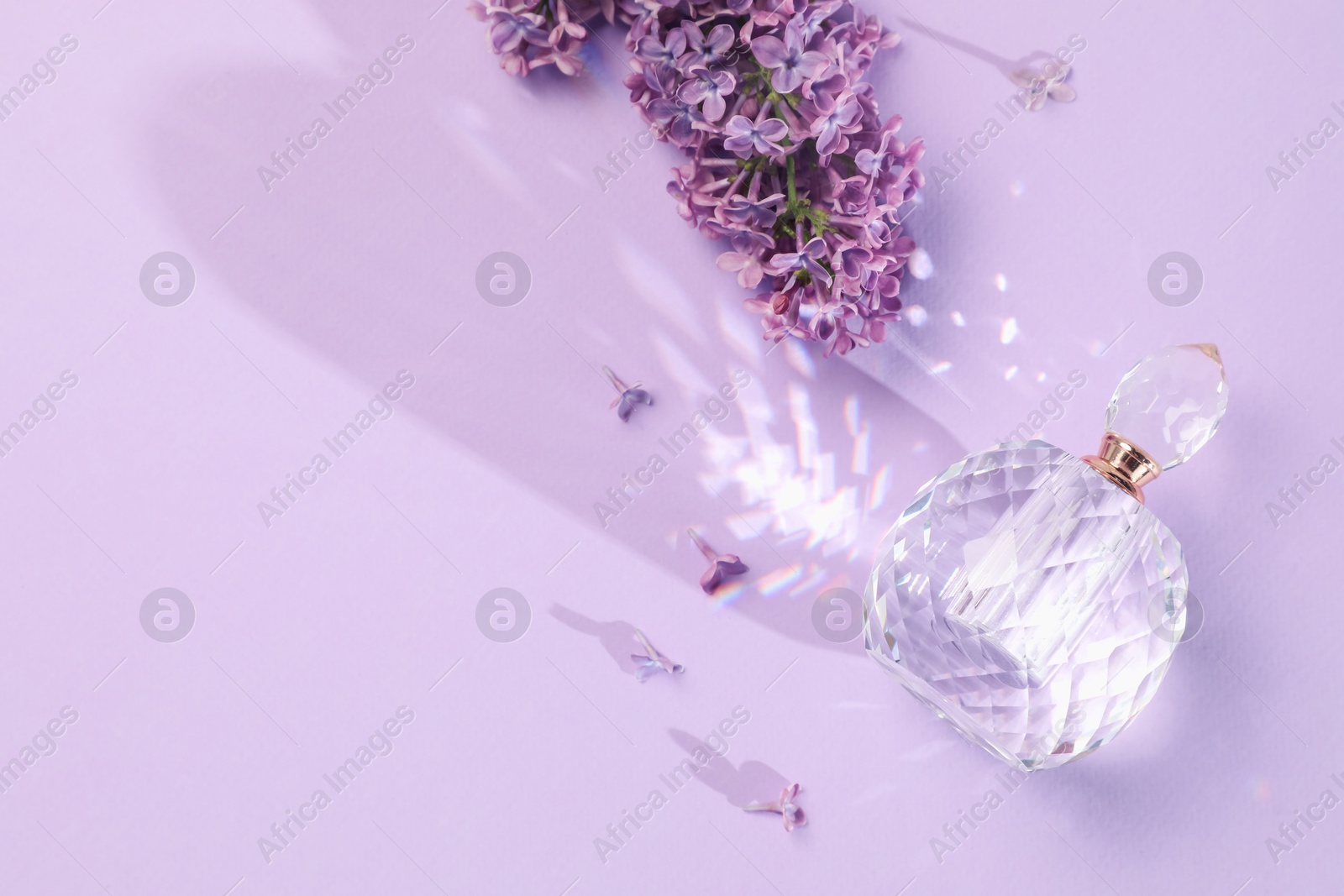 Bottle of perfume and beautiful lilac flowers on light violet background, flat lay. Space for text Photo of Bottle of perfume and beautiful lilac flowers on light violet background, flat lay. Space for text