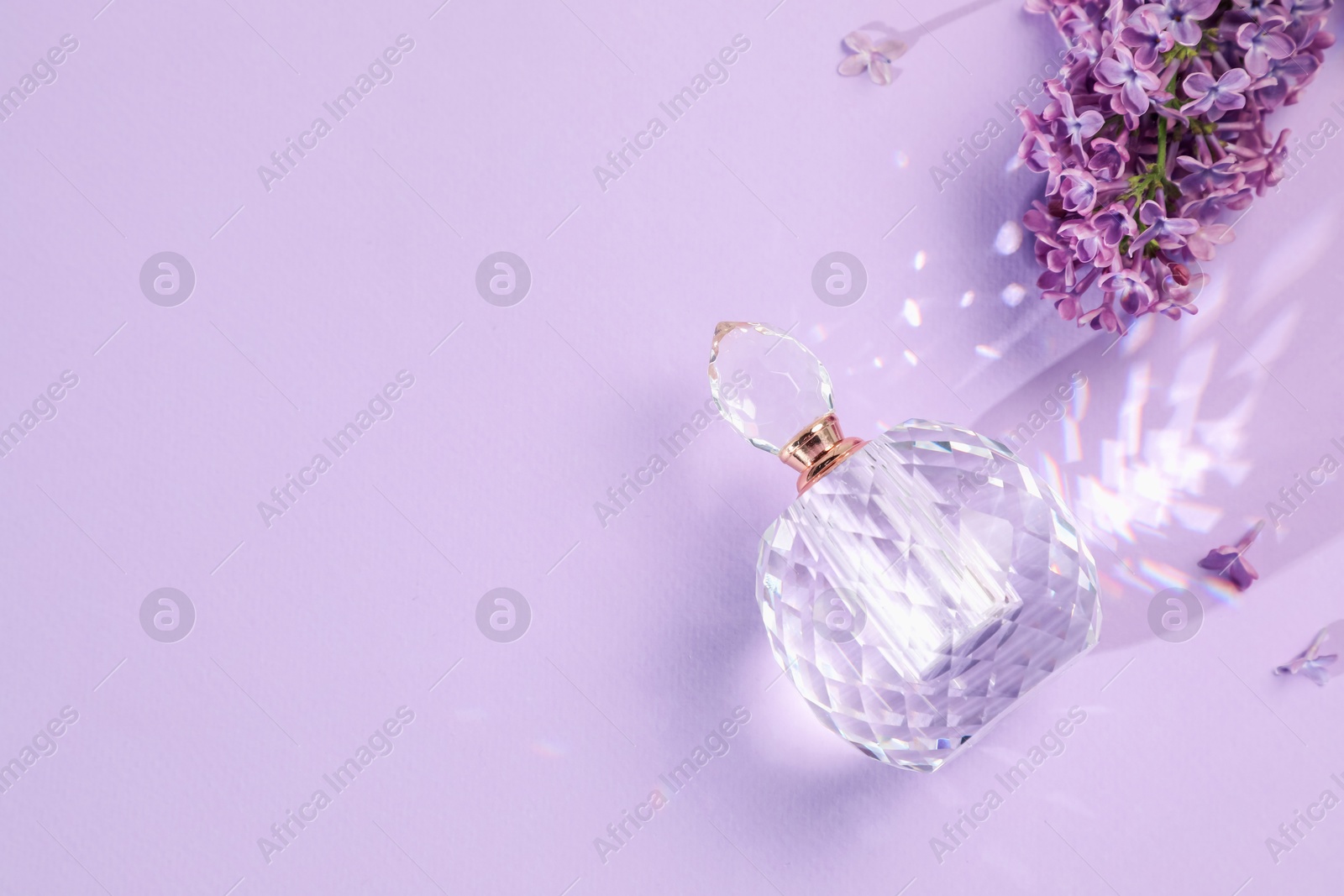 Bottle of perfume and beautiful lilac flowers on light violet background, flat lay. Space for text Photo of Bottle of perfume and beautiful lilac flowers on light violet background, flat lay. Space for text