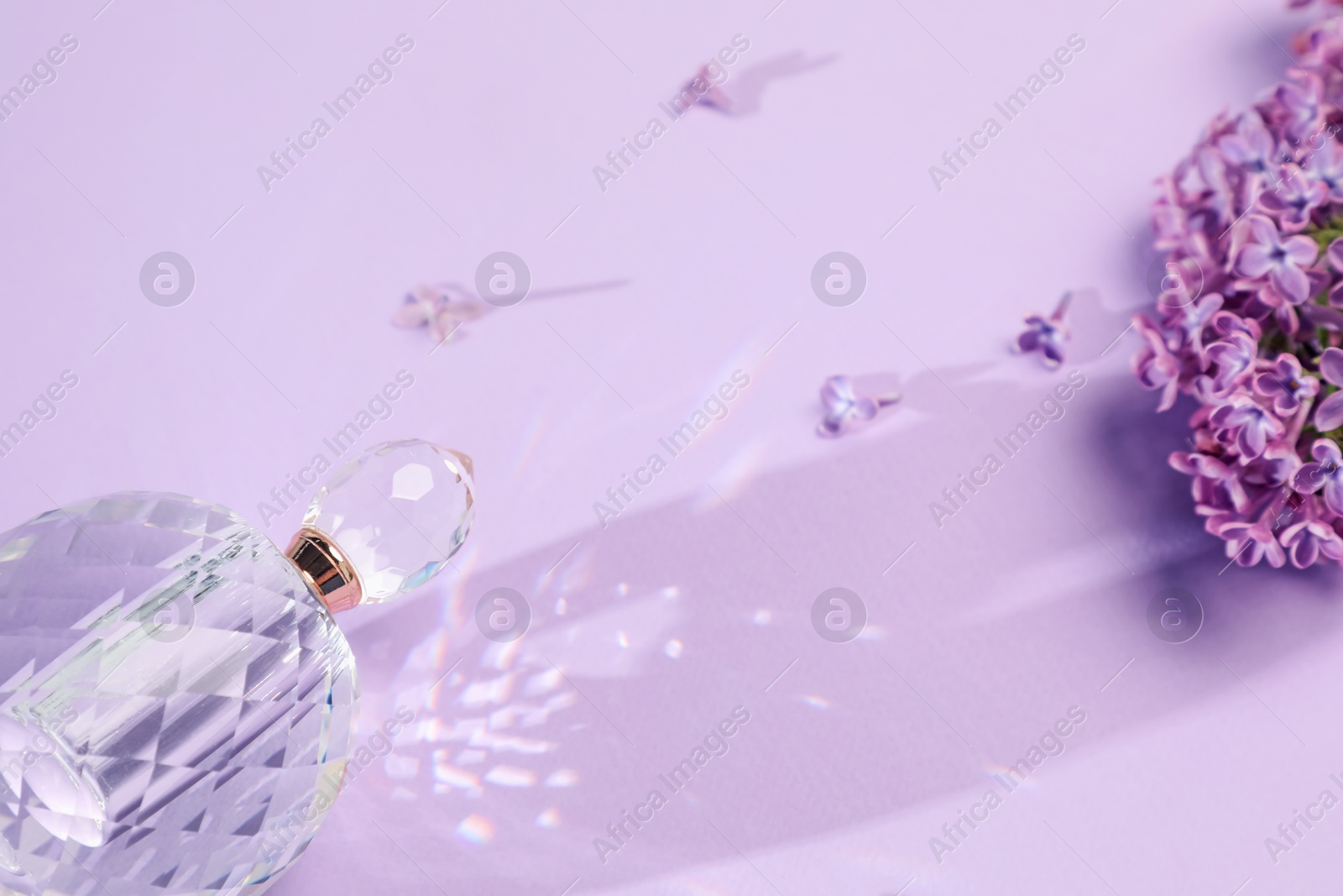 Bottle of perfume and beautiful lilac flowers on light violet background, closeup Photo of Bottle of perfume and beautiful lilac flowers on light violet background, closeup