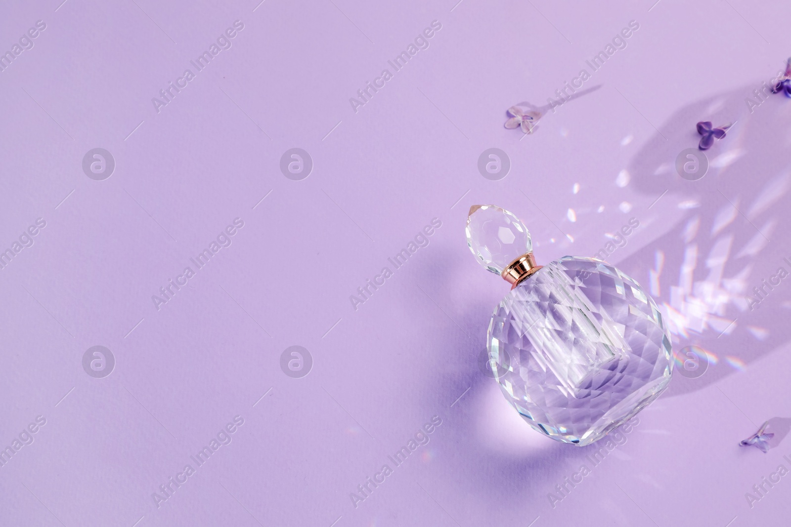 Bottle of perfume and beautiful lilac flowers on light violet background, flat lay. Space for text Photo of Bottle of perfume and beautiful lilac flowers on light violet background, flat lay. Space for text