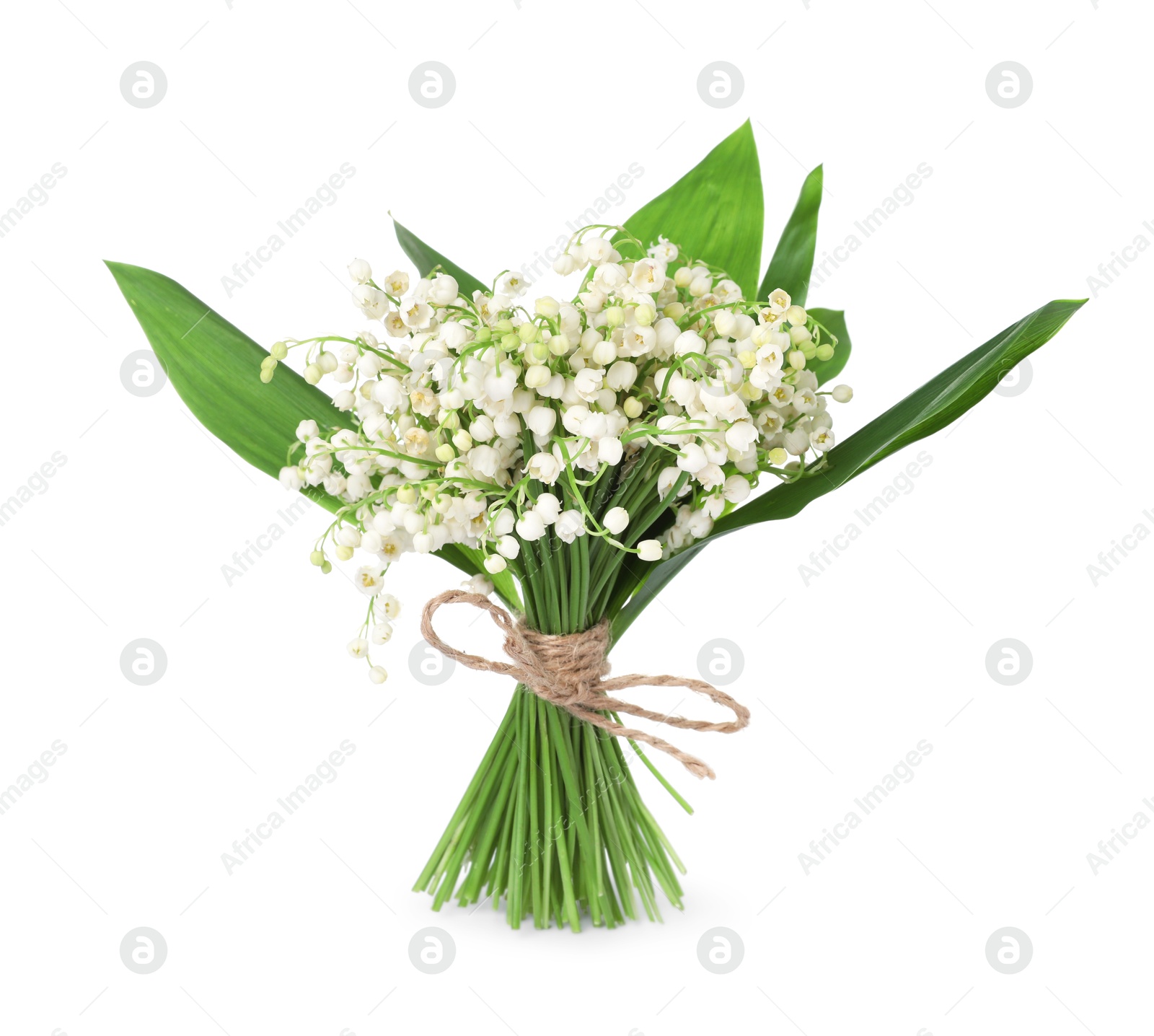 Bouquet of beautiful lily of the valley flowers isolated on white Photo of Bouquet of beautiful lily of the valley flowers isolated on white