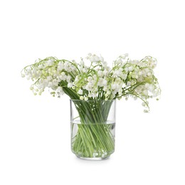 Photo of Bouquet of beautiful lily of the valley flowers isolated on white