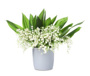 Photo of Bouquet of beautiful lily of the valley flowers isolated on white