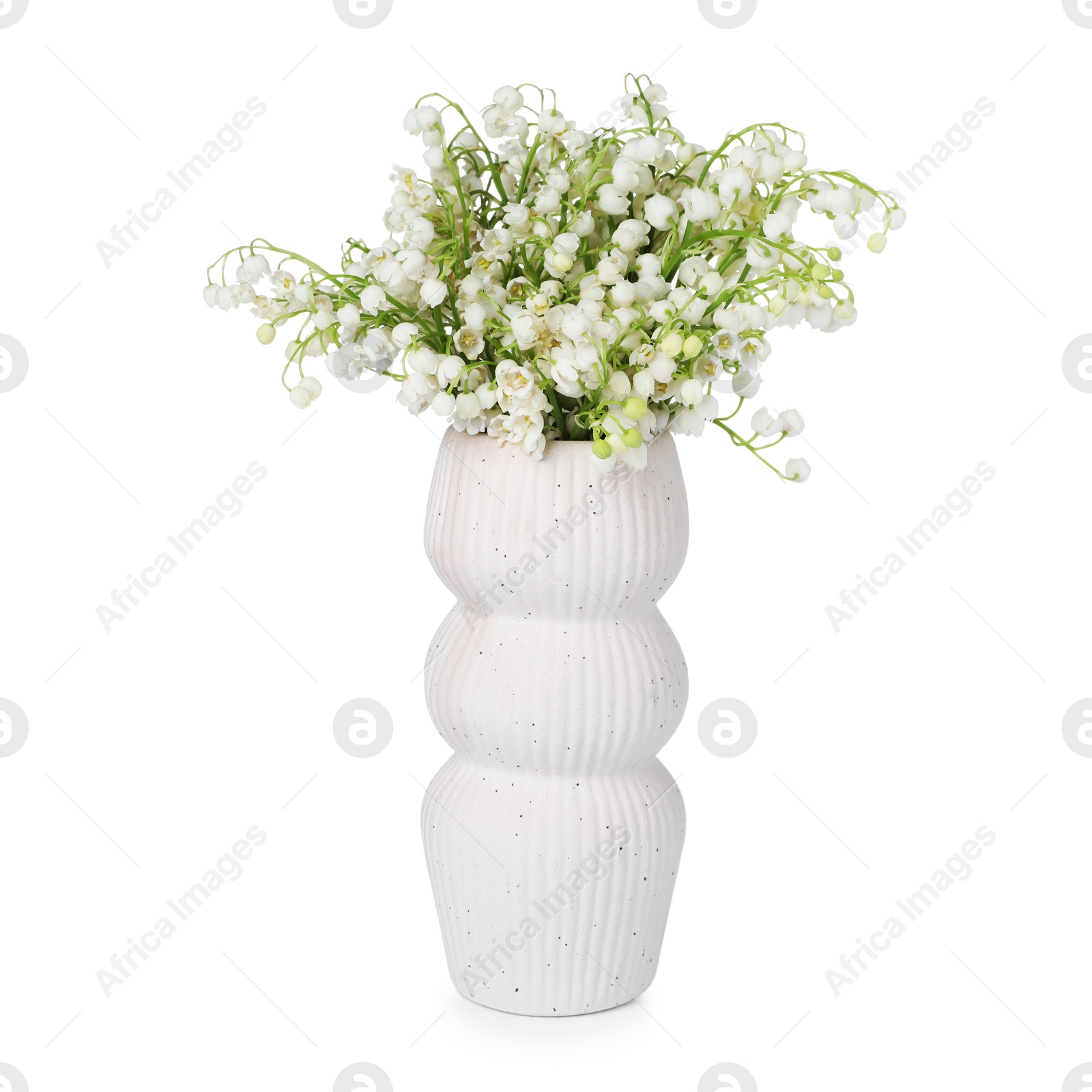 Bouquet of beautiful lily of the valley flowers isolated on white Photo of Bouquet of beautiful lily of the valley flowers isolated on white