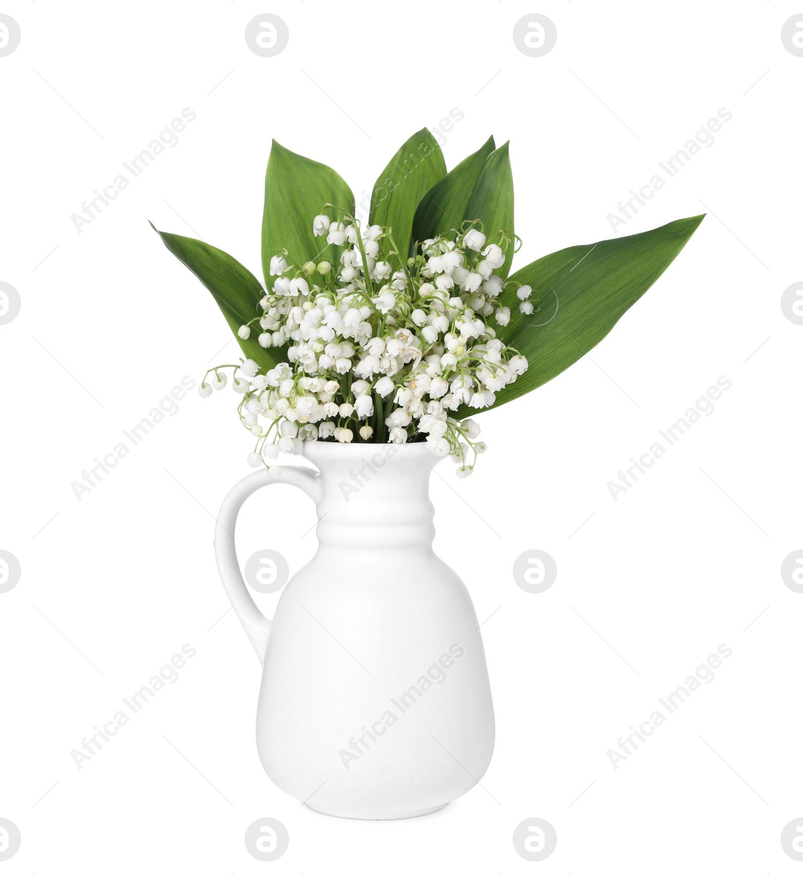 Bouquet of beautiful lily of the valley flowers isolated on white Photo of Bouquet of beautiful lily of the valley flowers isolated on white