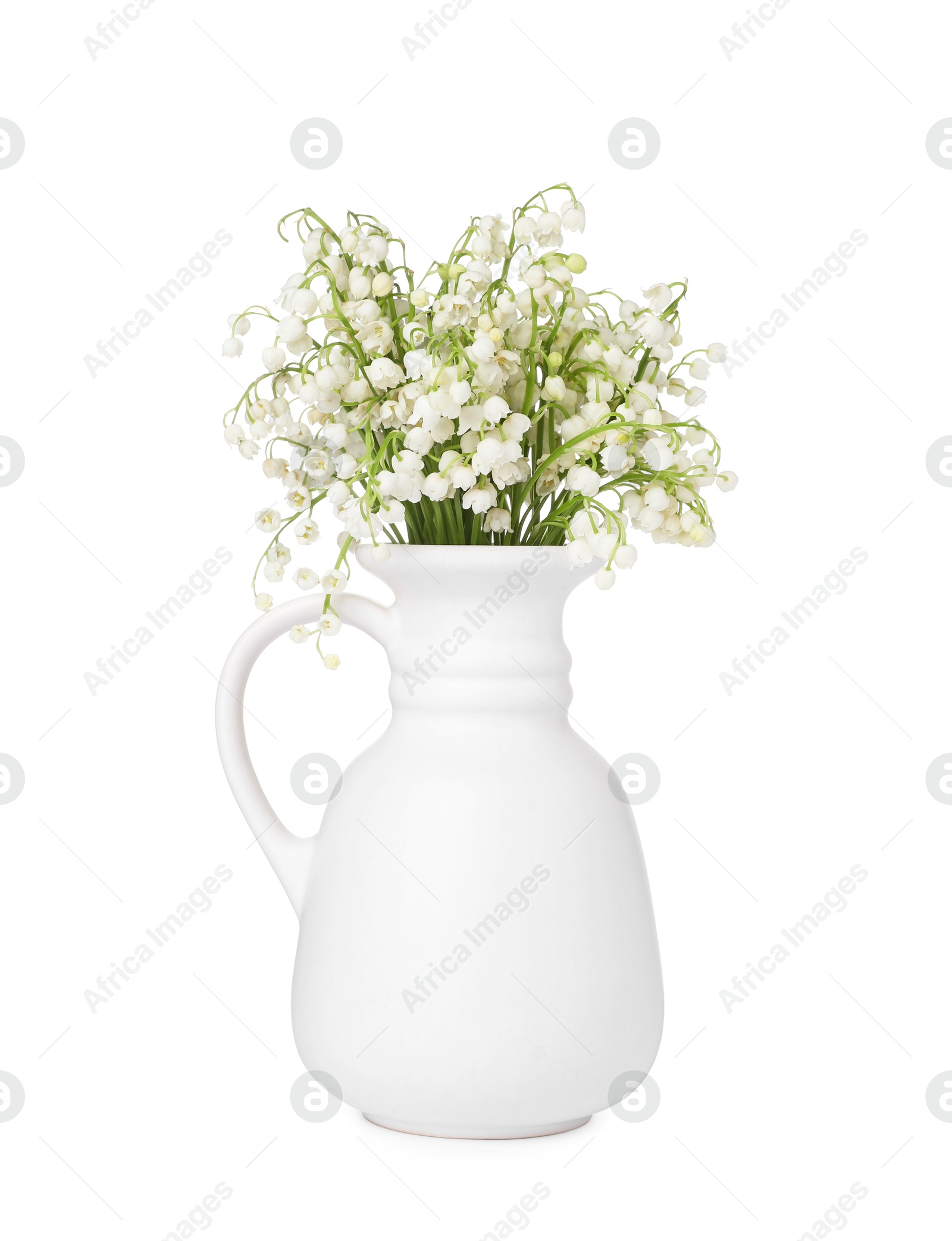 Bouquet of beautiful lily of the valley flowers isolated on white Photo of Bouquet of beautiful lily of the valley flowers isolated on white