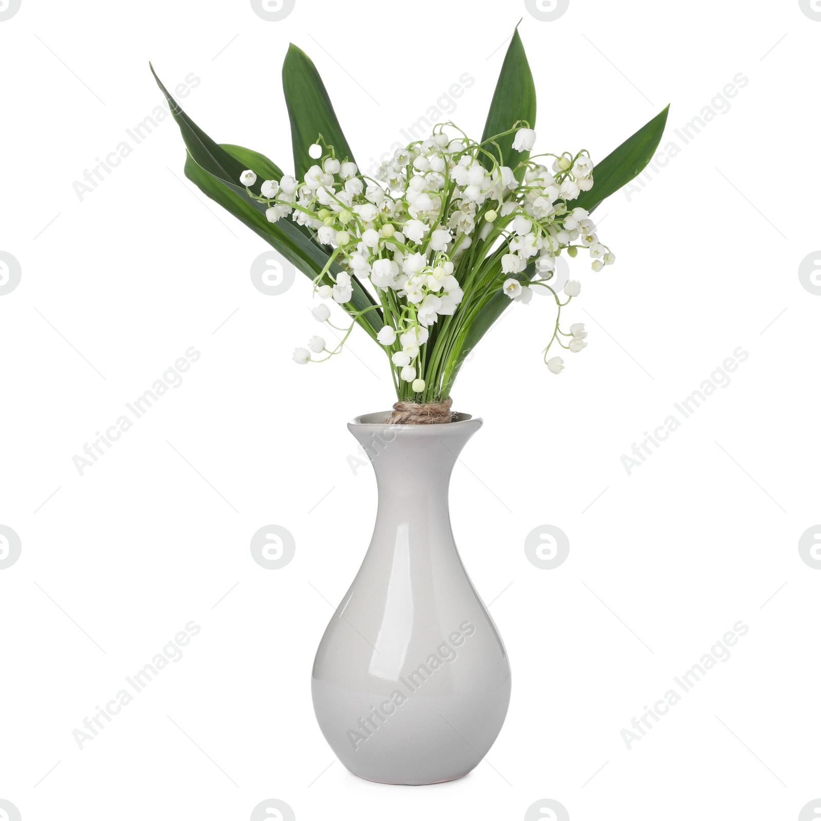 Bouquet of beautiful lily of the valley flowers isolated on white Photo of Bouquet of beautiful lily of the valley flowers isolated on white