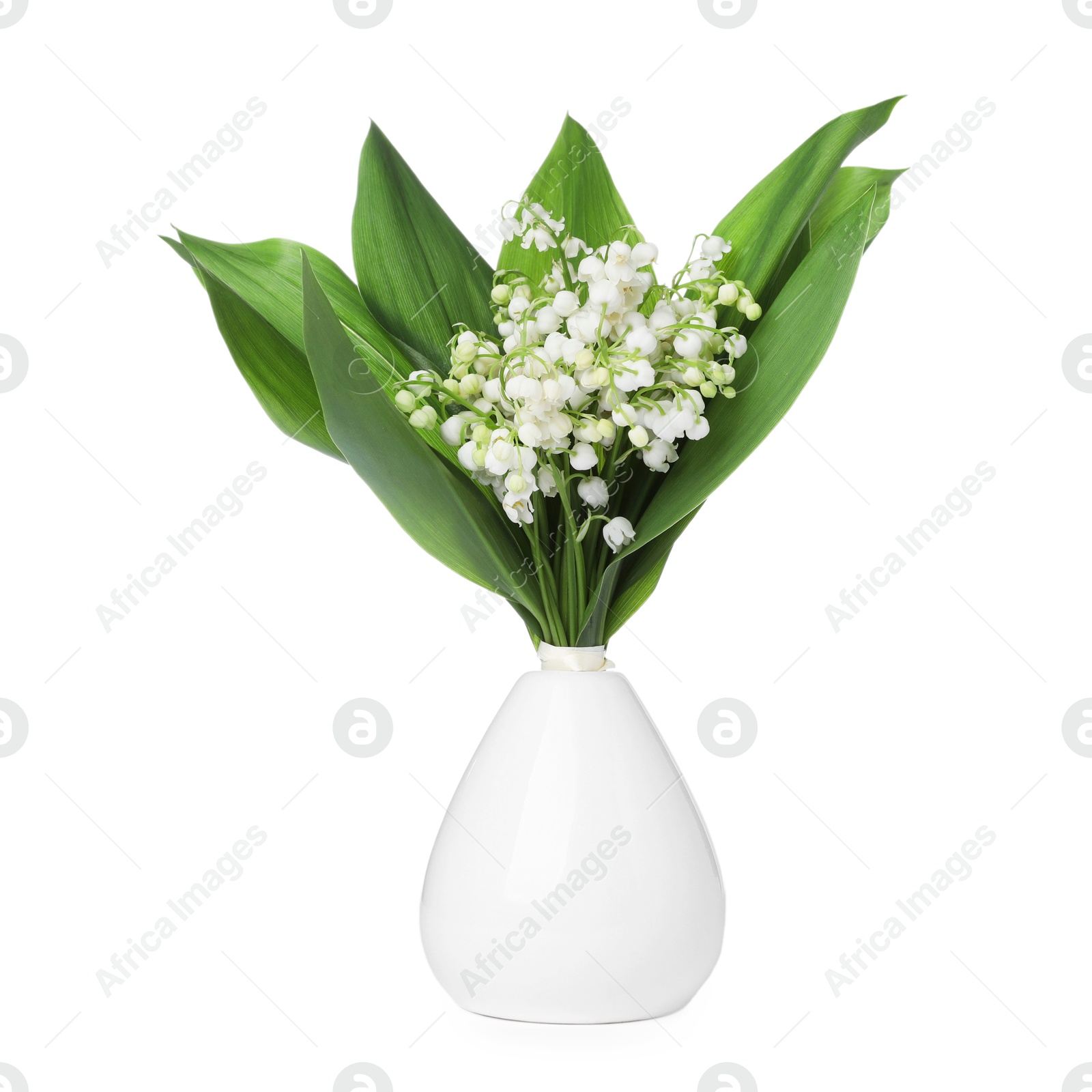 Bouquet of beautiful lily of the valley flowers isolated on white Photo of Bouquet of beautiful lily of the valley flowers isolated on white