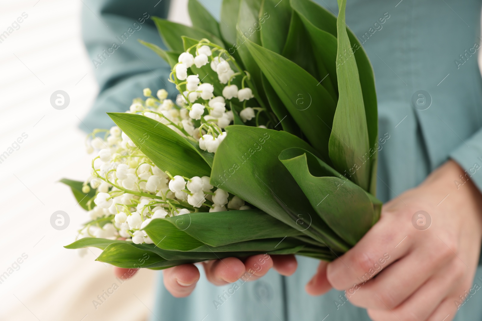 Woman with beautiful lilies of the valley flowers indoors, closeup Photo of Woman with beautiful lilies of the valley flowers indoors, closeup