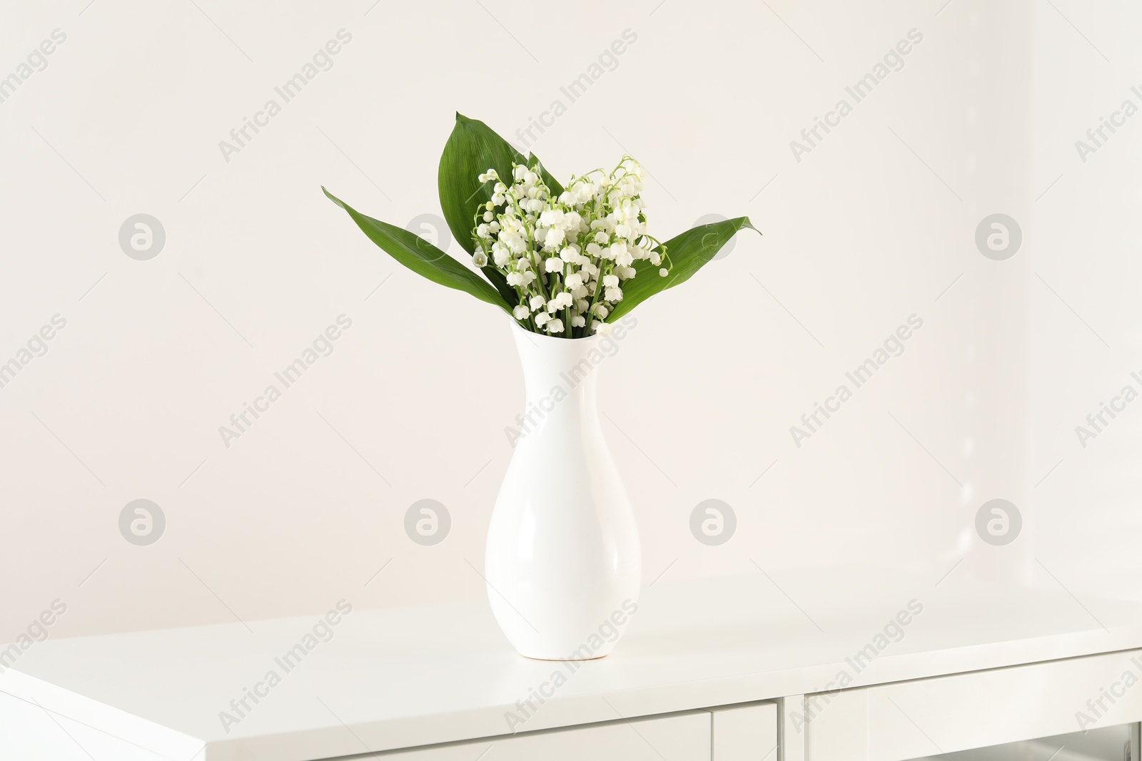 Beautiful lilies of the valley flowers in vase on cabinet Photo of Beautiful lilies of the valley flowers in vase on cabinet