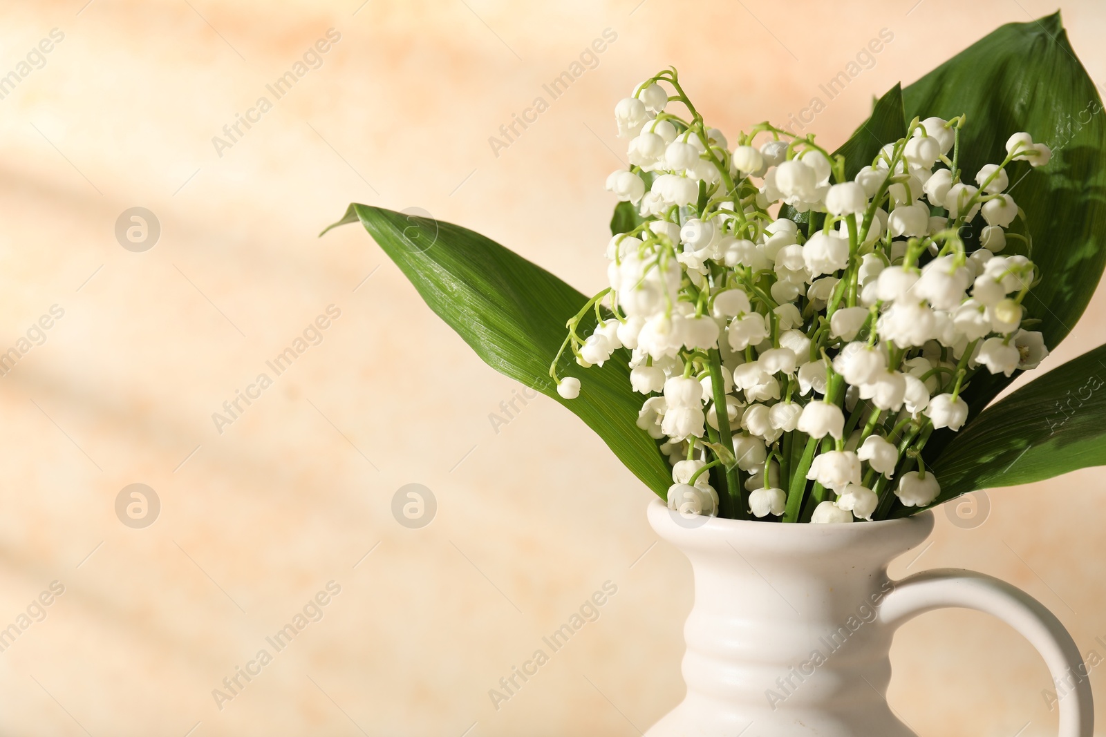Beautiful lilies of the valley flowers in vase near beige wall, closeup. Space for text Photo of Beautiful lilies of the valley flowers in vase near beige wall, closeup. Space for text