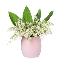 Photo of Bouquet of beautiful lily of the valley flowers isolated on white
