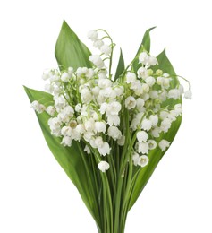 Photo of Bouquet of beautiful lily of the valley flowers isolated on white