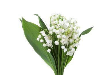 Photo of Bouquet of beautiful lily of the valley flowers isolated on white