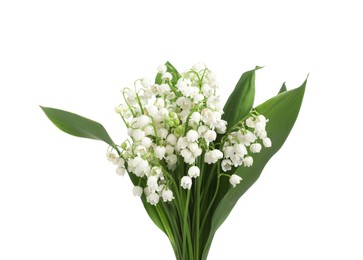 Photo of Bouquet of beautiful lily of the valley flowers isolated on white