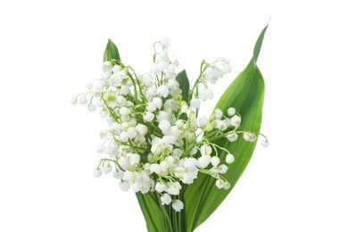 Photo of Bouquet of beautiful lily of the valley flowers isolated on white