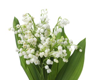 Photo of Bouquet of beautiful lily of the valley flowers isolated on white