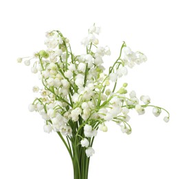 Photo of Bouquet of beautiful lily of the valley flowers isolated on white