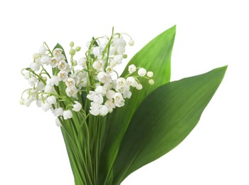Photo of Bouquet of beautiful lily of the valley flowers isolated on white