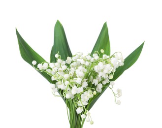 Photo of Bouquet of beautiful lily of the valley flowers isolated on white