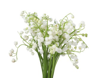 Photo of Bouquet of beautiful lily of the valley flowers isolated on white