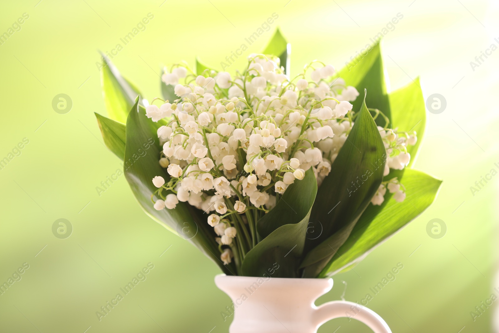 Beautiful lilies of the valley flowers in vase against blurred background, closeup Photo of Beautiful lilies of the valley flowers in vase against blurred background, closeup
